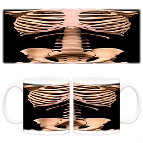 Taza esqueleto