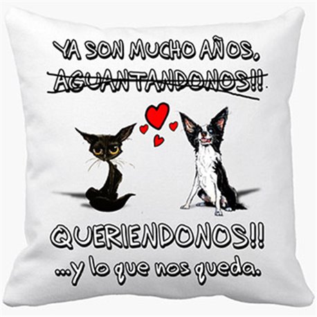 Cojín con relleno San Valentín perros gatos animales frase de amor