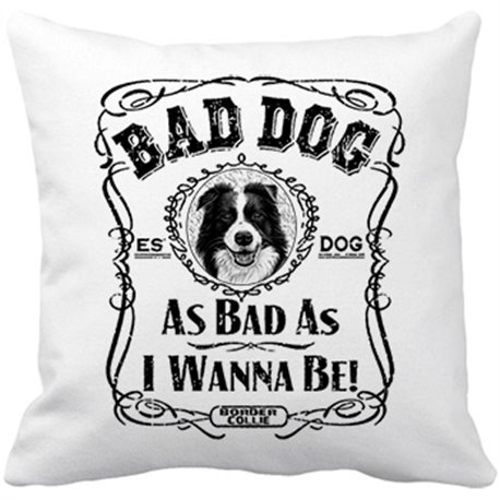 Cojín con relleno frase perro raza Border Collie Bad dog as bad as I wanna be