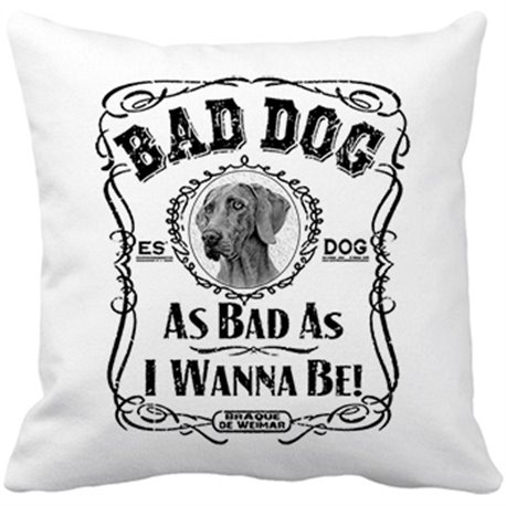 Cojín con relleno frase perro raza Braque de Weimar Bad dog as bad as I wanna be