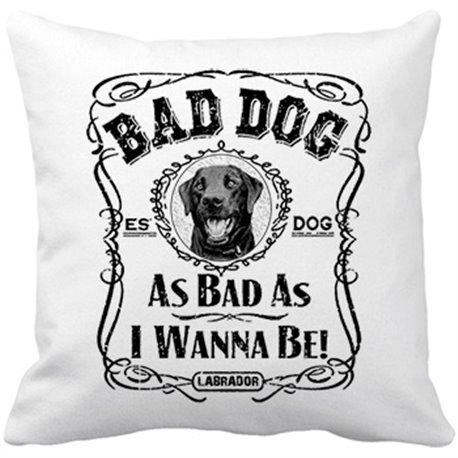 Cojín con relleno frase perro raza Labrador negro Bad dog as bad as I wanna be