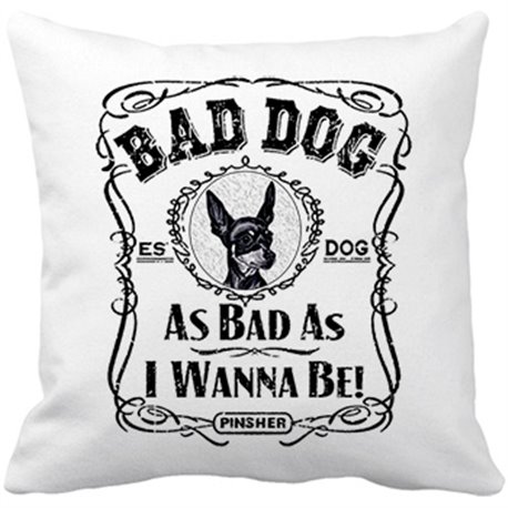 Cojín con relleno frase perro raza Pinsher negro Bad dog as bad as I wanna be