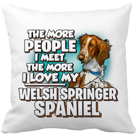 Cojín con relleno I love my Welsh Springer Spaniel raza perro
